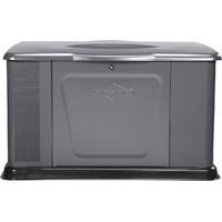 Briggs & Stratton G110